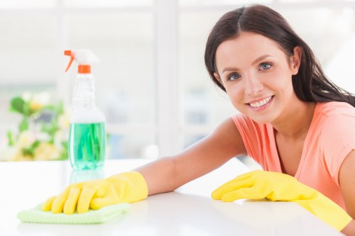 Cleaner inspecting a work area before starting cleaning tasks