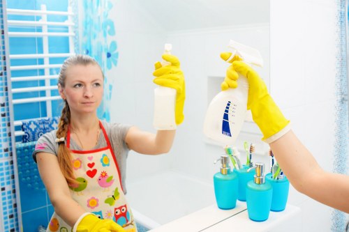 Professional home cleaner in Bromley cleaning a bright living room