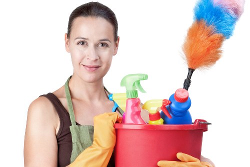 Domestic cleaning supplies arranged for home cleaners in Bromley