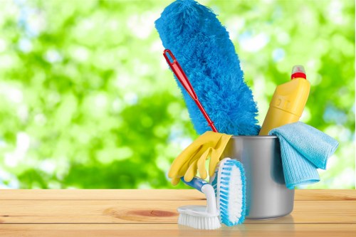 Secure payment interface for Cleaners Bromley customers