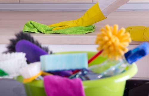 Professional cleaner in Bromley cleaning a bright living room