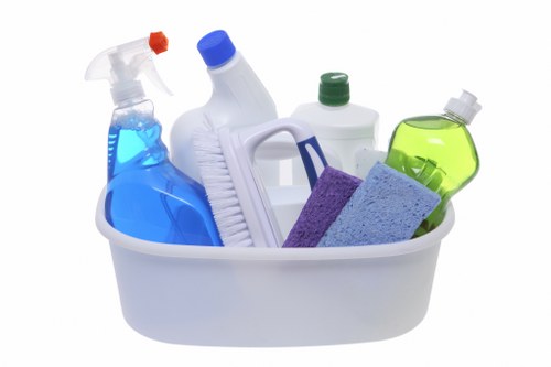 Professional cleaning team providing domestic cleaning in Bromley
