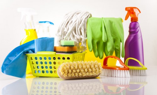 Professional move in cleaning for a Bromley home interior