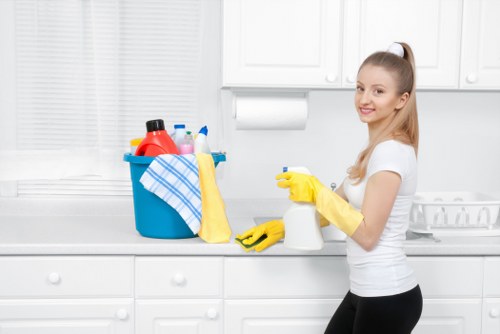 Eco-friendly house cleaning in Bromley for a fresh living space